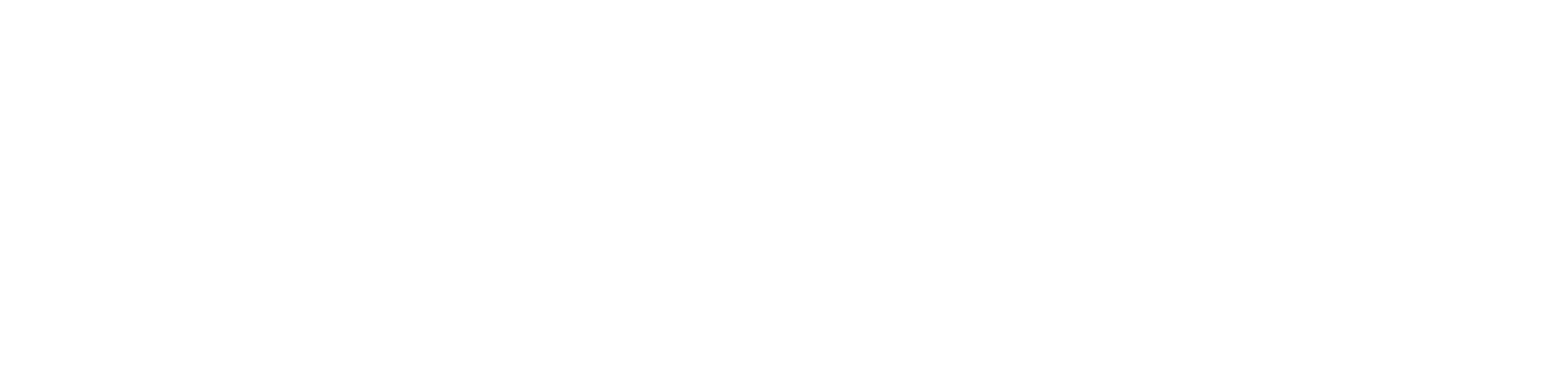10 Christchurch City Council logo